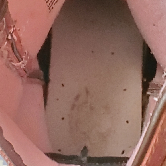 ARIAT FATBABY 7B. LEATHER WESTERN WOMEN BOOT. - Picture 9 of 12